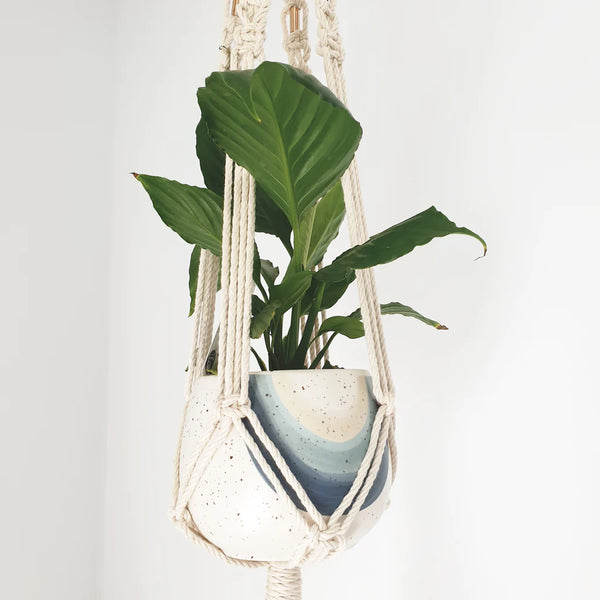 Macrame - Small Hanger with Pot