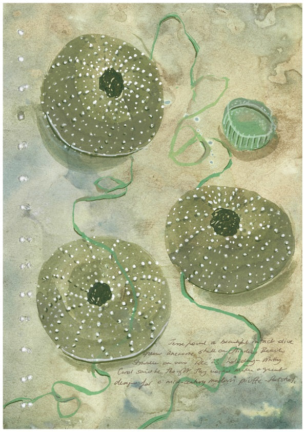 Megan Forward - Fine Art Print - 'Anemones and Footstools'