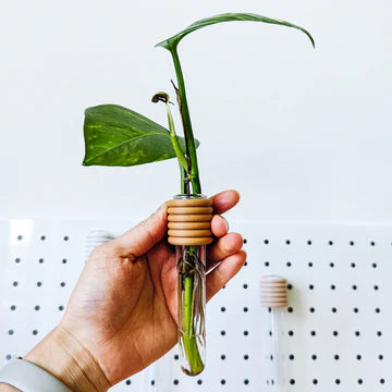 POETHAN - Simple Magnetic Vase