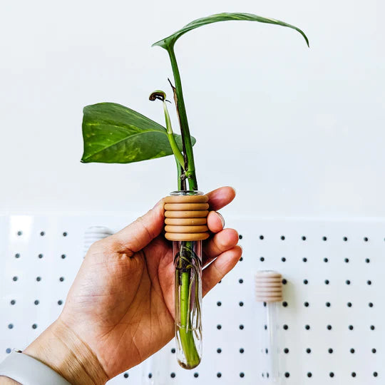 Simple Magnetic Vase