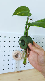 POETHAN - Round Magnetic Vase